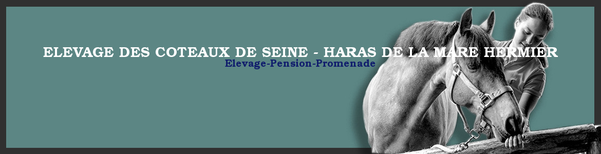 ELEVAGE DES COTEAUX DE SEINE - HARAS DE LA MARE HERMIER